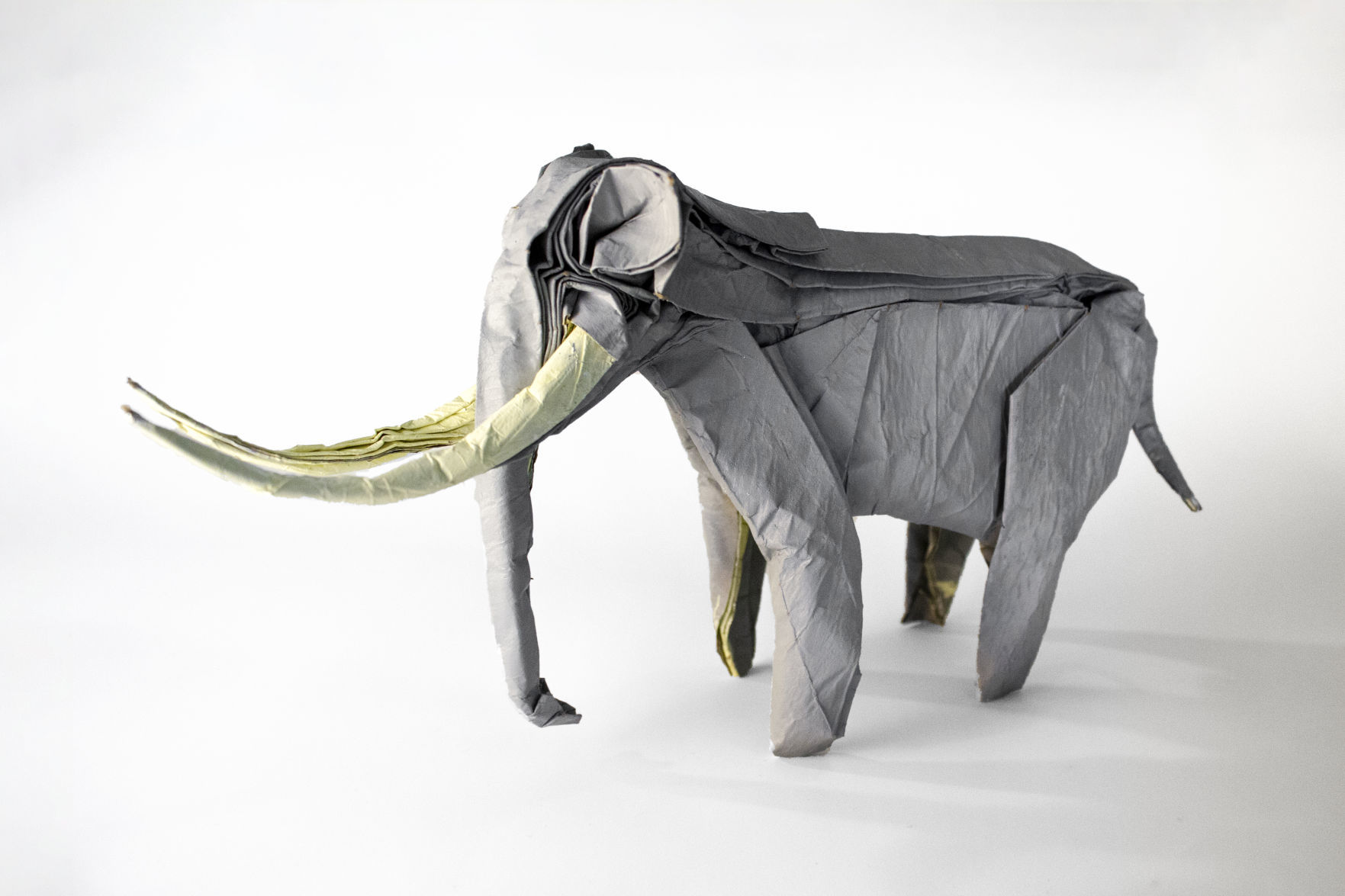 Wilding Museum Presents Folded Art: Origami Animals by Robert Salazar